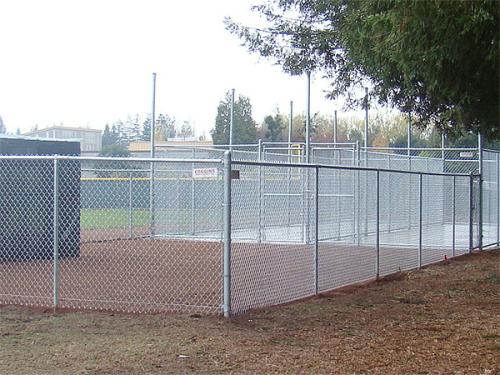 Chain-Link