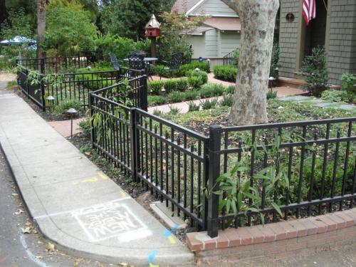 Ornamental Iron