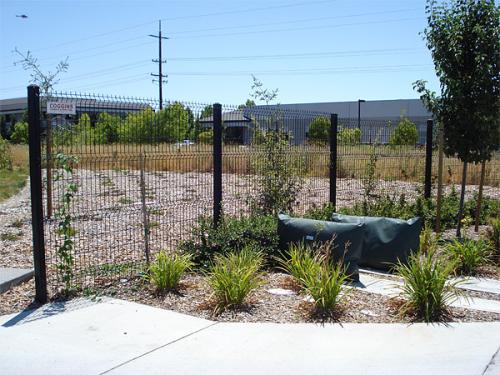 Ornamental Iron