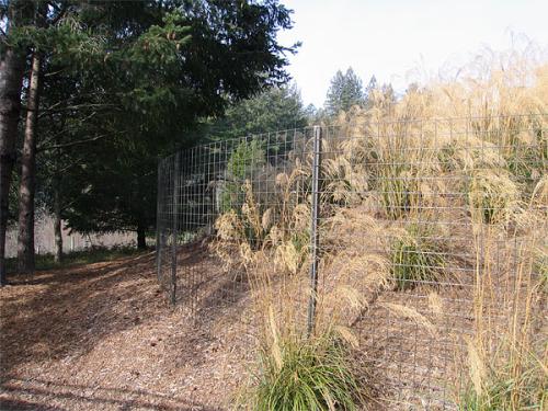 Ranch & Deer Fencing